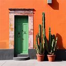 Kleurrijk Mexicaans straatbeeld van Studio Allee thumbnail
