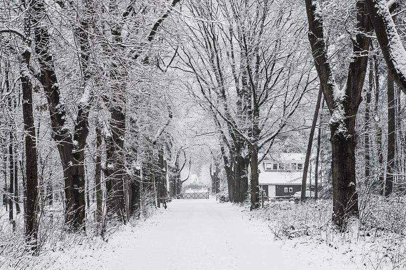 Winter landschap in Nederland op de Utrechtse heuvelrug van Peter Haastrecht, van