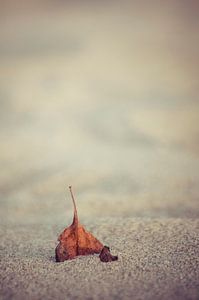on the sands of time