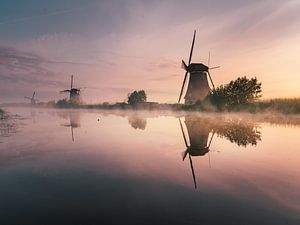 Spiegelung der Windmühlen von Kinderdijk