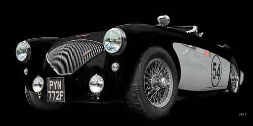 Austin-Healey 100M in black & white