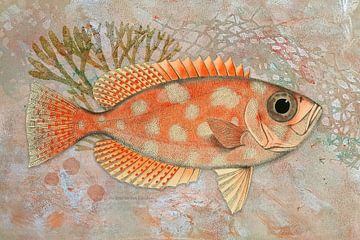 Orange Big-Eyed Fish by Behindthegray