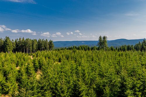 Un beau paradis pour les randonneurs sur le sentier Rennsteig
