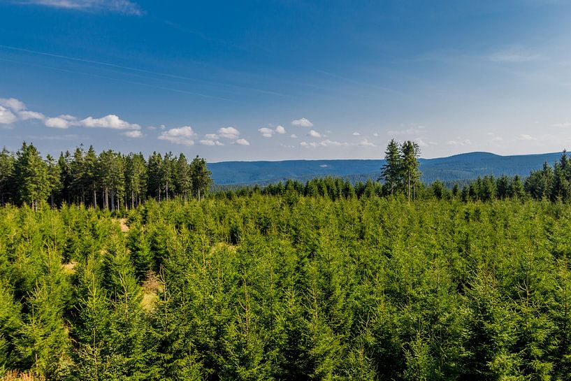 Wonderful hiking paradise at the Rennsteig by Oliver Hlavaty