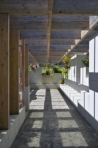 Linienspiel in den Gärten von Serralves