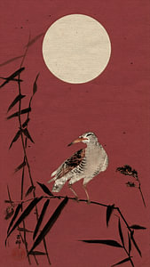 Traditioneller japanischer Holzschnitt von Vogel (Black Horsman) auf Bambus in einem dunklen Korallenrot