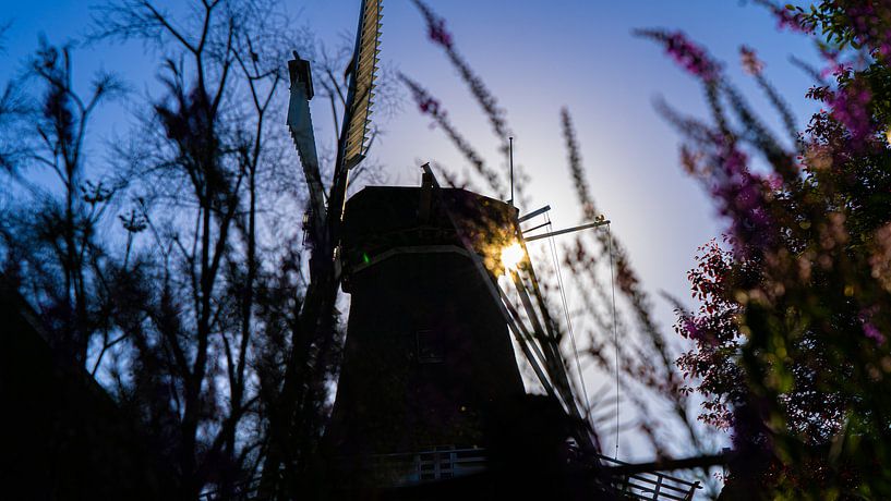 Molen en bloemen in Winsum tijdens zonsondergang (blue hour) van Jessica Lokker