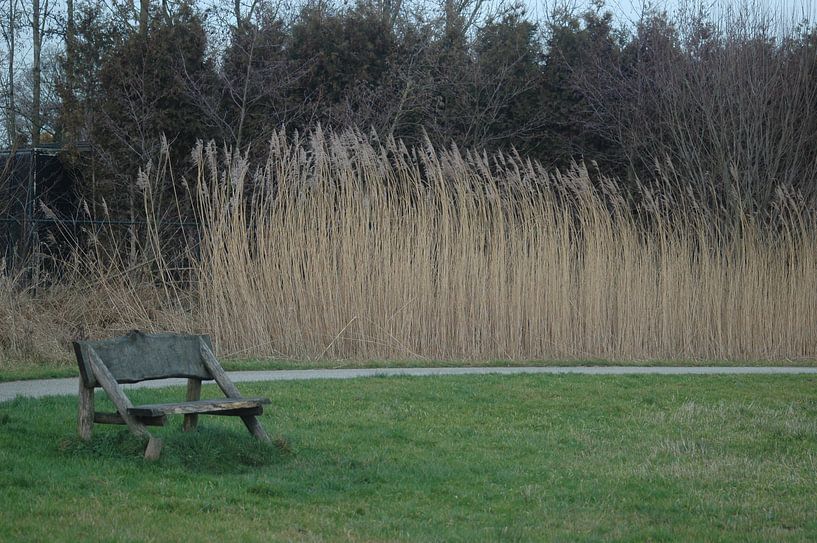lonesome bench van Louis Hagebeuk