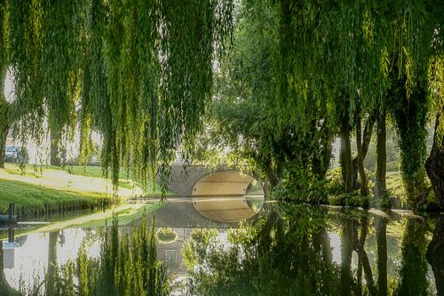 Bomen in Katwijk aan de Rijn