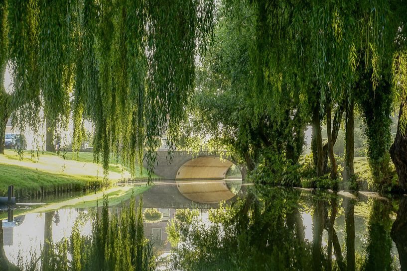 Bomen in Katwijk aan de Rijn by Dirk van Egmond