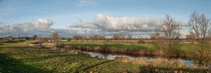 Uiterwaarden Voorsterklei. 