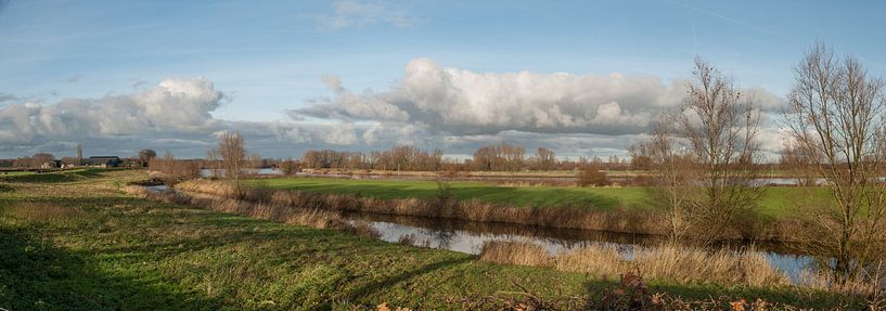 Uiterwaarden Voorsterklei.  von Marcel Pietersen