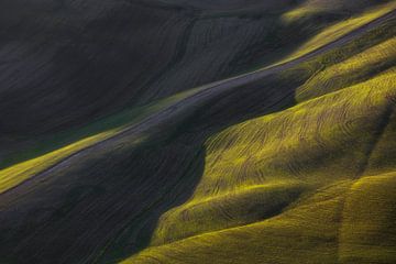 Abstract landscape in Tuscany by Stefano Orazzini