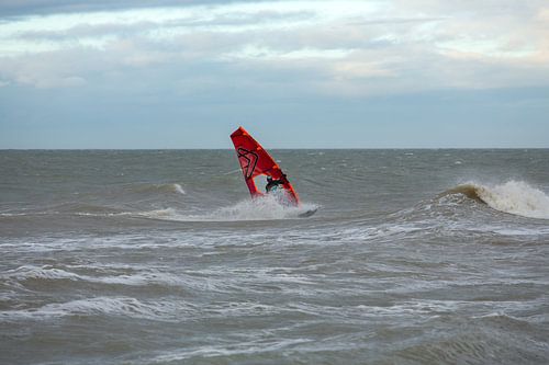 Surfeur Domburg