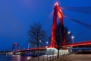 Willemsbrug - Blauwe Uur - Rotterdam van Fotografie Ploeg