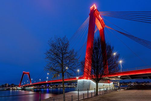 Willemsbrug - Blaue Stunde - Rotterdam