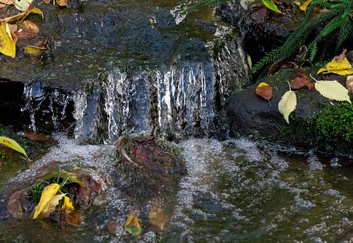 Natuurfotografie - Flowing water...