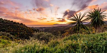 Uitzichtpunt met palmbomen, bergen, zee en een kleurrijke lucht van Dafne Vos