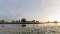 Boerderij aan de Bullewijk