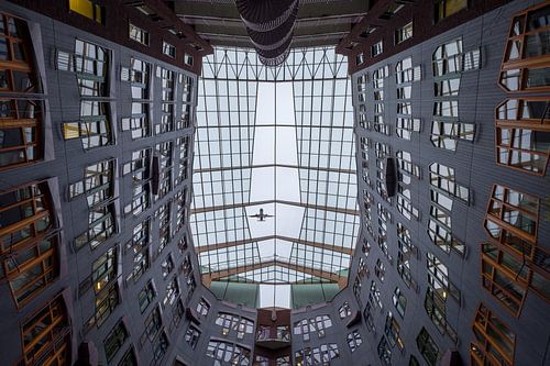 Zwolle, Isala met vliegtuig