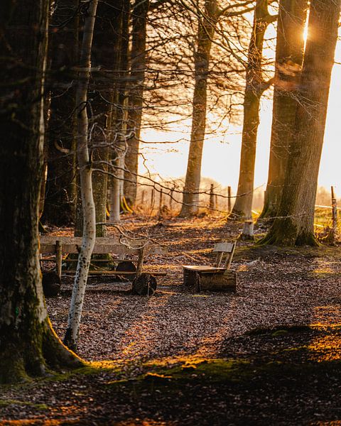 Silence in the evening light by Hans Huys