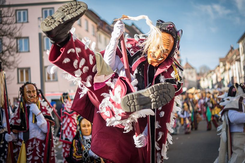 Rottweiler Narrensprung by Jürgen Schmittdiel Photography