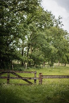 Zomers uitzicht in Twente