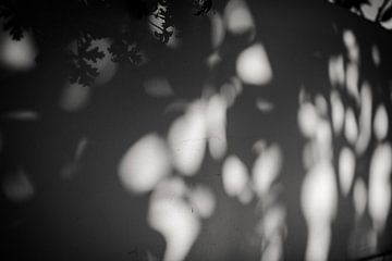 Speels Lichtspel van planten en zon - Zwart wit fotografie - Zakynthos Griekenland van Irmgard Averesch