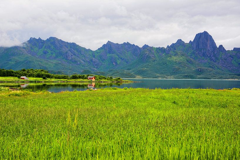 Malerische Szenerie am Eidsfjord - norwegische Landschaft par Gisela Scheffbuch