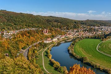 Neckarsteinach in de herfst van Uwe Ulrich Grün