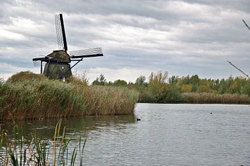 de Steendert van Huub Westendorp