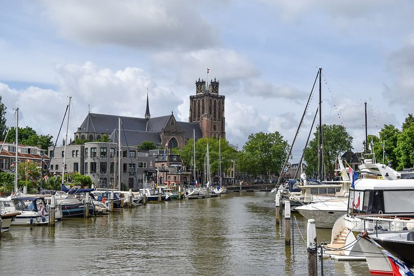 View of the Grote Kerk in Dordrecht by Nicolette Vermeulen