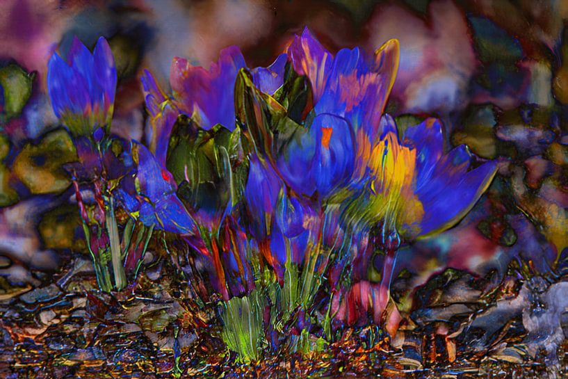 Danse des couleurs par Photoart-Naegele