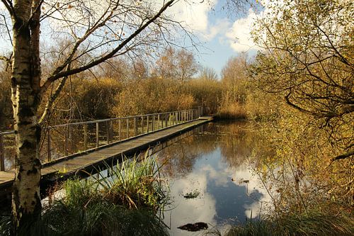 View through nature reserve De Deelen
