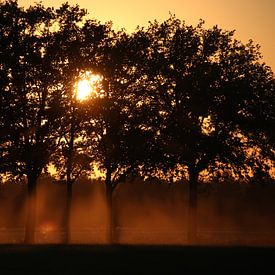 Zonsondergang (14-6-2023)  van Hovers photography