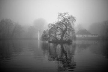Bünde in de mist V | Steinmeister Park van Momentaufnahme | Marius Ahlers