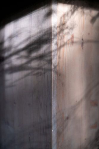 shadows on a cupboard