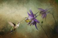 Flying Hummingbird Feeding On A Purple Flower by Diana van Tankeren thumbnail
