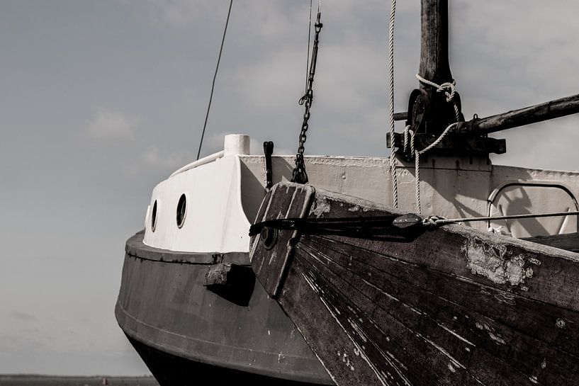 Marine life by met Jessica / Fotostudio Drachten