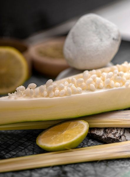 green papaya by Alex Neumayer