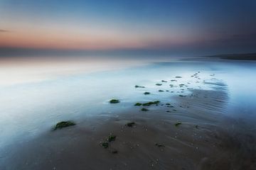 Strand Texel von Aland De Wit