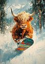 Scottish Highland cattle by Niklas Maximilian thumbnail