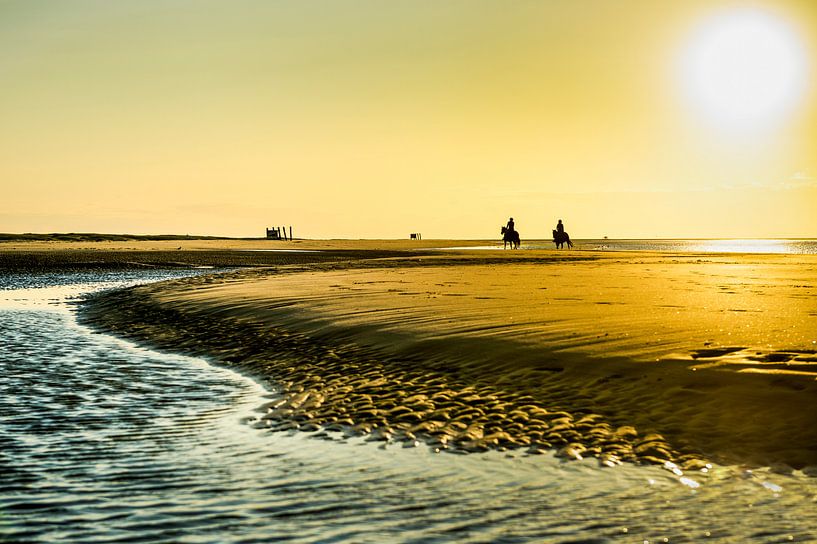 Horseback riding on the Zeeland coast by Paula Romein