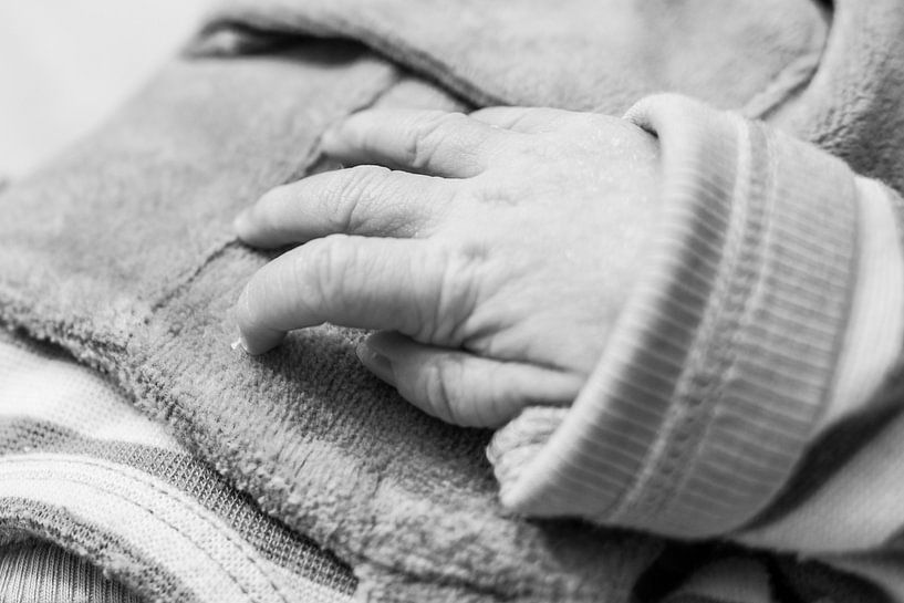 baby hand by Photos by Ilse