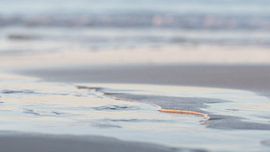 Licht an der Wasserkante von ReBlick