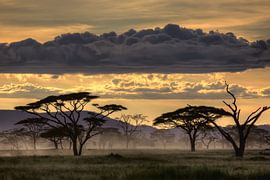 Good evening tanazania by Amnon Eichelberg
