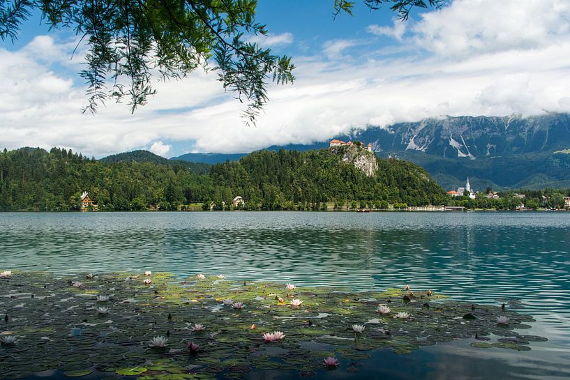 Het meer van Bled in Slovenië van Jaco Visser