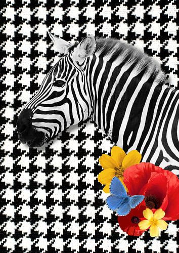 Pied de poule zebra