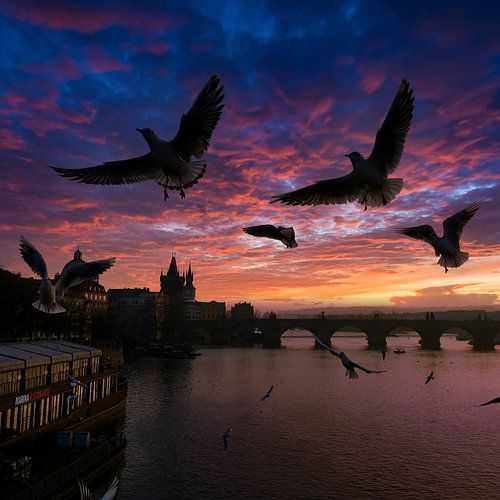 Karlsbrücke in Prag Altstadt