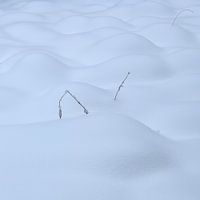 Golven in de sneeuw
